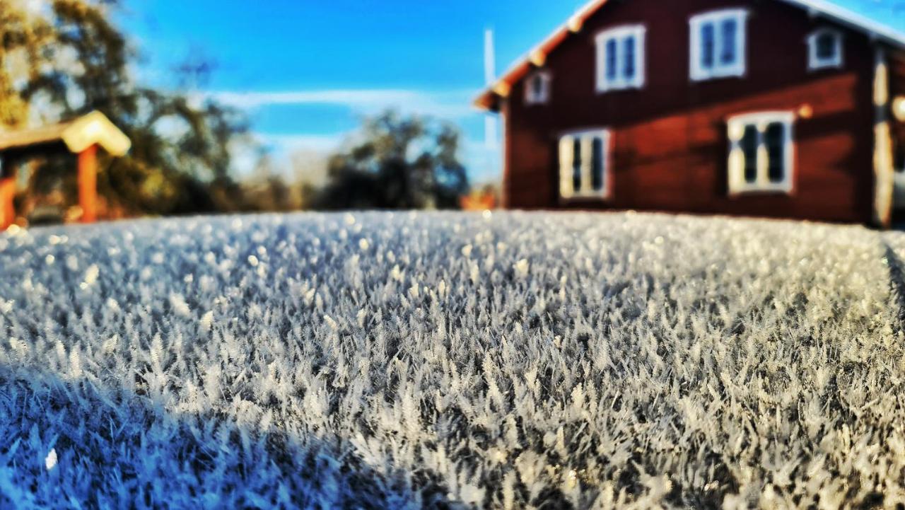 Orrefors *